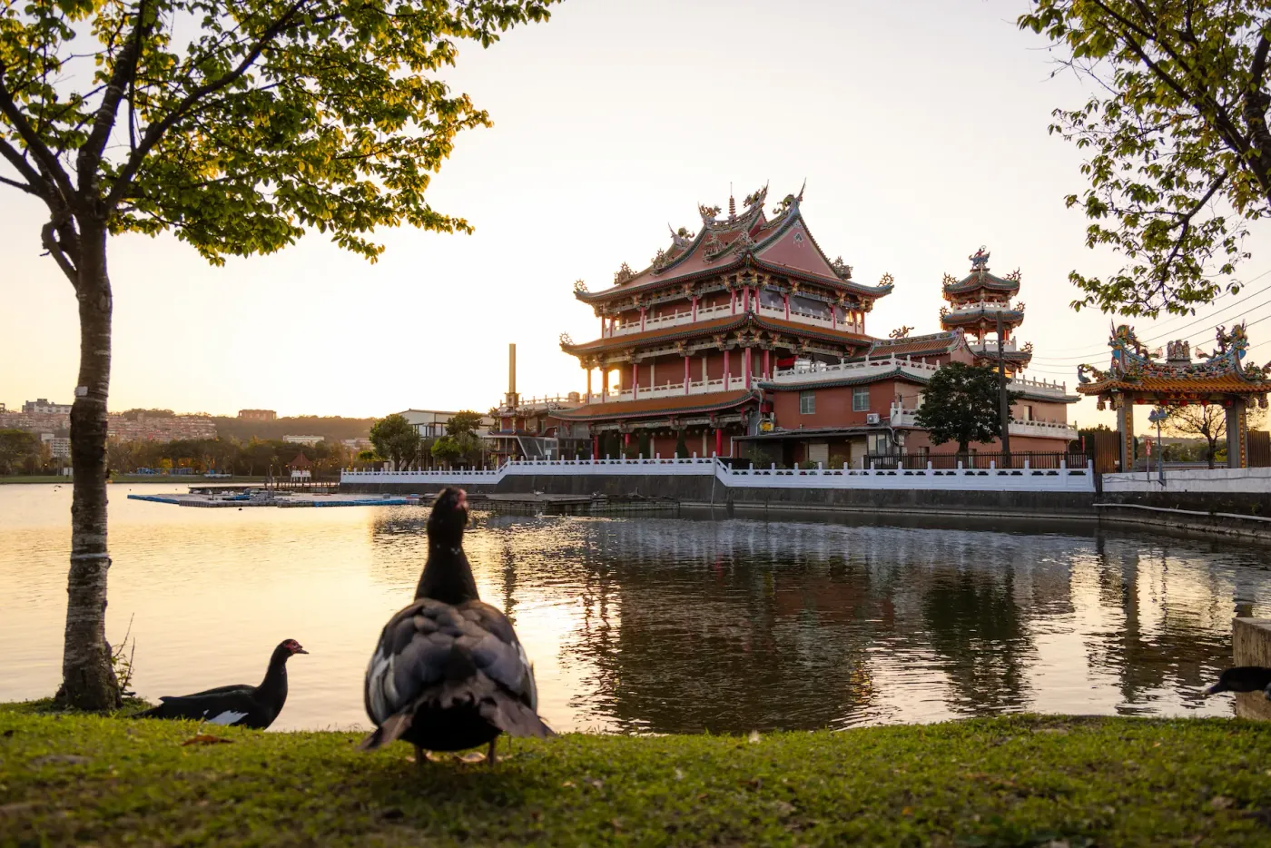 China<br>Oeste