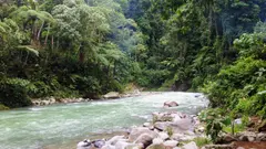 El río Bohorok en Bukit Lawang, límite del Parque Nacional Gunung Leuser