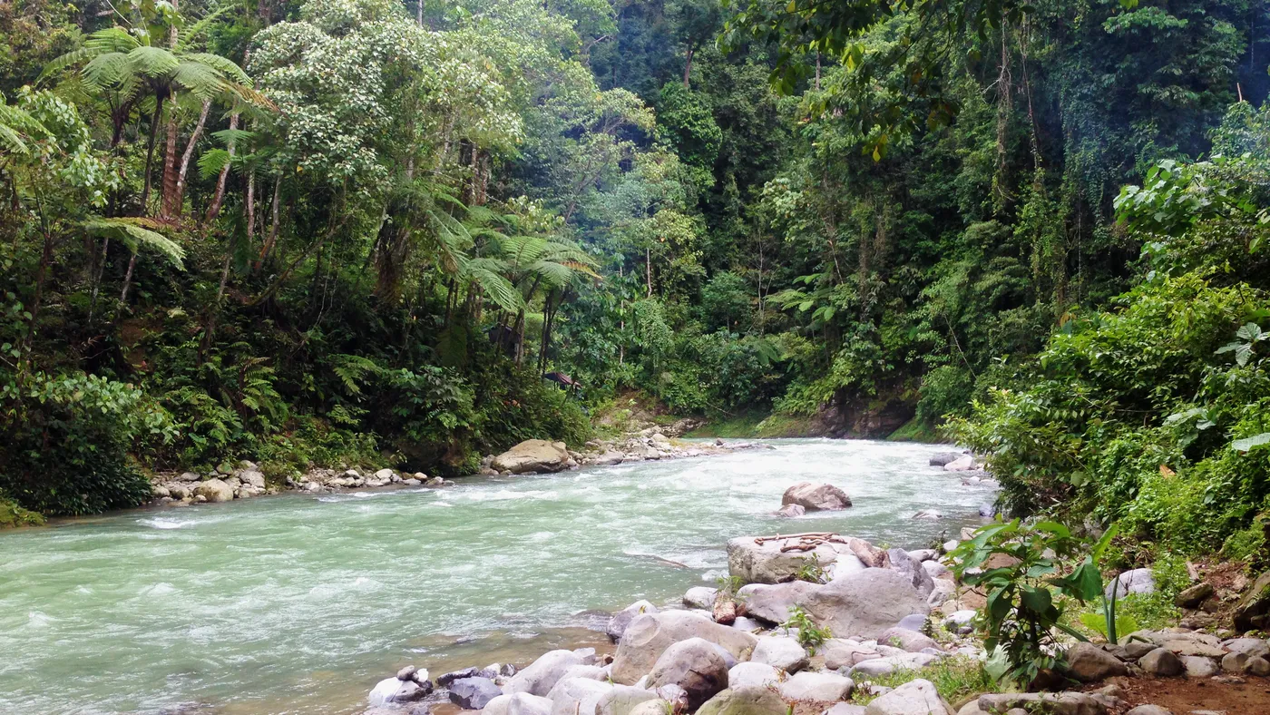 El río Bohorok en Bukit Lawang, límite del Parque Nacional Gunung Leuser