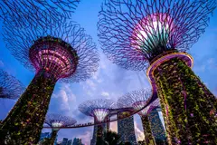 Los Supertrees de Gardens by the Bay, en Singapur