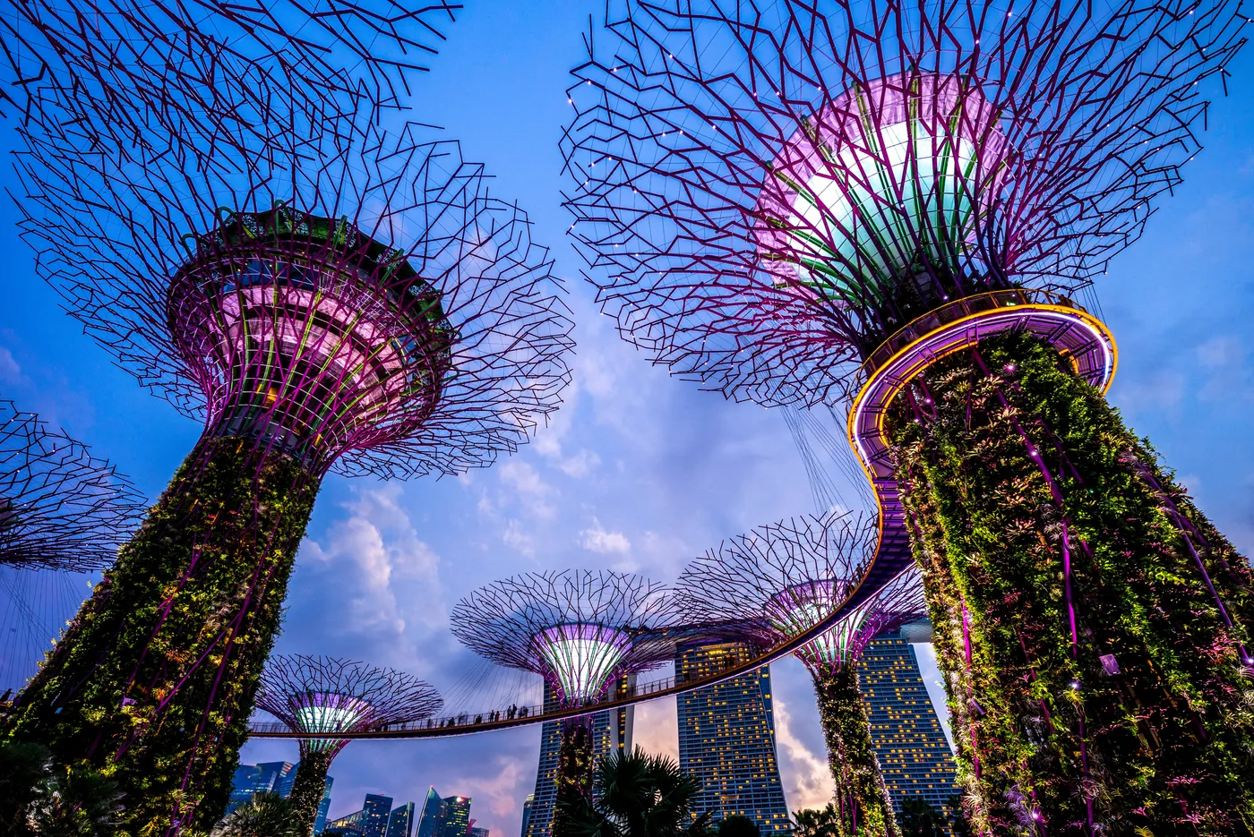 Los Supertrees de Gardens by the Bay, en Singapur